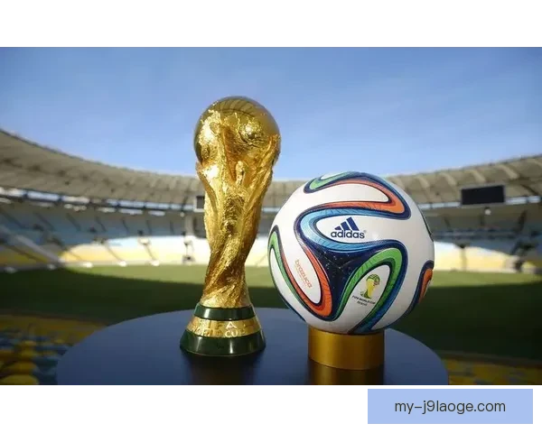 2026世界杯首次引入高科技传感器实时监控球场草坪湿度提升赛事保障
